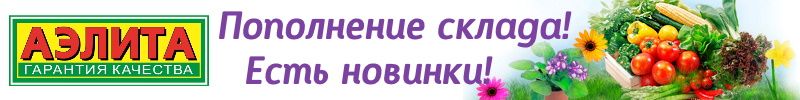 462.Лучшее ТРИО - семена без рядов. БОЛЬШОЕ поступление семян АЭЛИТА и ПОИСК. Новинки!