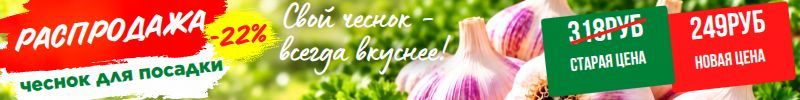 19.Чеснок озимый! Осенний удар по ценам - снижение цены - 22%! Можно сразу оплачивать