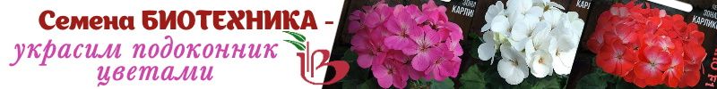 502.Семена Биотехника. Пеларгония для сада и подоконника. Можно сеять сейчас - цветение весной