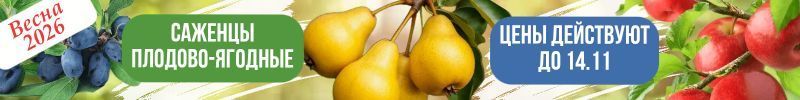 55.Сад мечты! Плодово-ягодные культуры! Цены действительны до 14.11. Предзаказ! Весна 2026г.