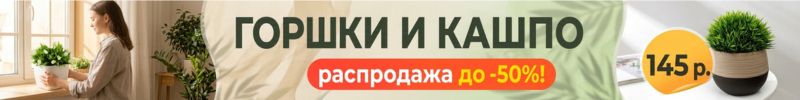 495.САД Сима-Ленд. ГОРШКИ И КАШПО - под любой интерьер и для любого настроения!