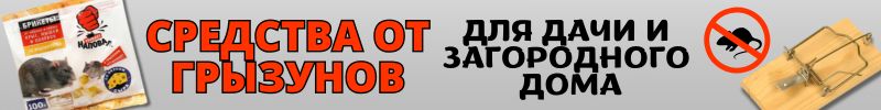 435.САД Сима-Ленд. Открываем осенний сезон! Собираем урожай, убираемся в саду! Новые скидки!