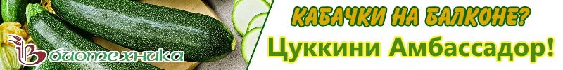 528.Семена Биотехника. КАБАЧКИ в горшках! Урожай дома. Почти все по старым ценам
