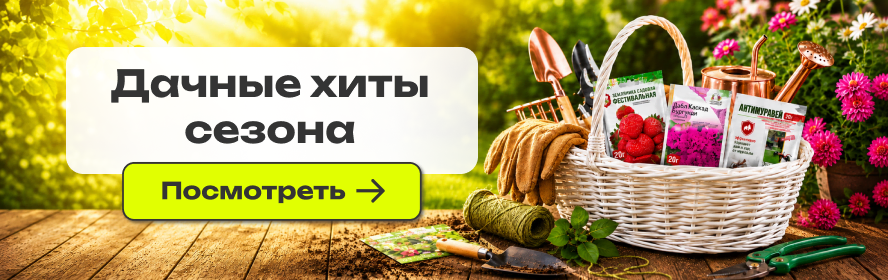 Хиты дачного сезона PC-New