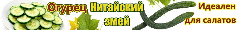 513.Семена Биотехника. Огурец КИТАЙСКИЕ ЗМЕИ - идеален для салатов, очень урожайный