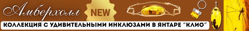323.AМБЕРХОЛЛ. Долгожданное пополнение: коллекция с удивительными инклюзами в янтаре!