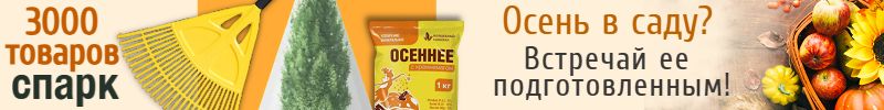 421.Спарк. 3000 товаров для огорода. Готовим сад к осени – выгодно и с заботой!