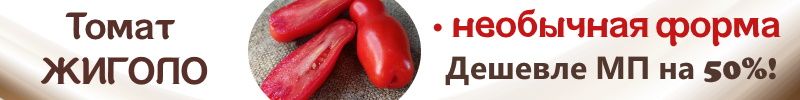 509.Семена Биотехника. Перец ФЕХЕР - не боится холодов, низкорослый, урожайный