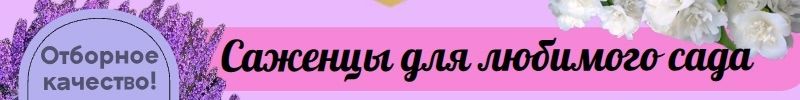 3.Отличные саженцы! Закрытая корневая система (ЗКС). Саженцы в горшках С2-С3