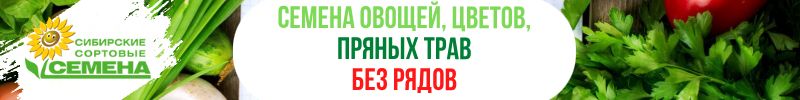 208.Сибирские сортовые семена! Без рядов! Томат Андреевский Сюрприз за 37руб!