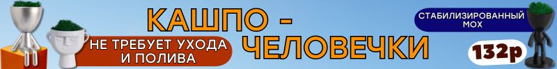 573.ДЕКОР от Сима-Ленд. СКИДКИ до -30% на интерьерные цветы и композиции!