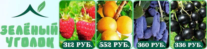 Зелёный уголок. Быстрая сдача. Можно сразу оплачивать! В наличии!