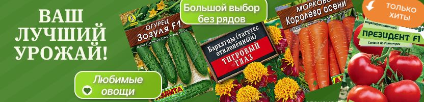 Ваш лучший урожай, отличный выбор семян без рядов. Выращивайте шедевры!