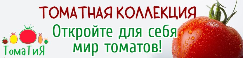 Томатная коллекция. Откройте для себя мир томатов! Новинки 2025. Предзаказ.