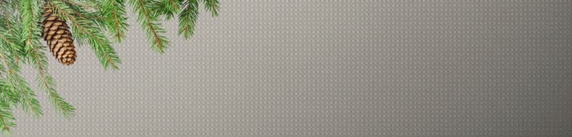 Чувствуете новый год? А FK обувь всё помнит! Зимние ботинки по супер низкой цене.