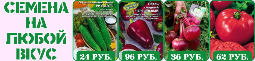 Семена на любой вкус! Без рядов! Хиты: Огурец РИТУАЛ F1, Томат БЕЗРАССАДНЫЙ.