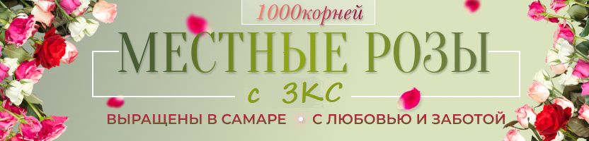 1000корней. Быстрая сдача! Гортензии и розы с ЗКС. Хит: Гортензия Руби Анабель за 780 р.