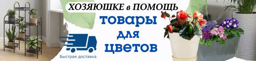 Хозяюшке в помощь. От маленького ростка – к большому урожаю. Товары для сада от 180 руб.!