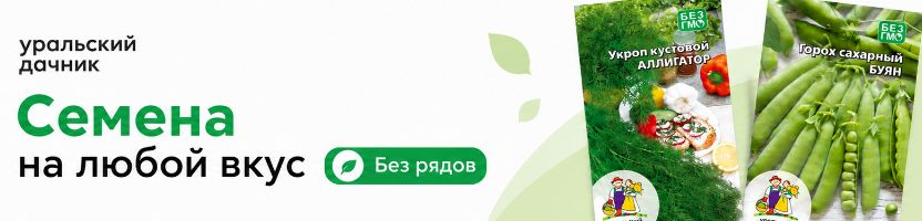 Уральский дачник! Семена без рядов! Хит: Лапчатка ОГНЕННОЕ ПЛАМЯ, Стрелиция КОРОЛЕВСКАЯ.