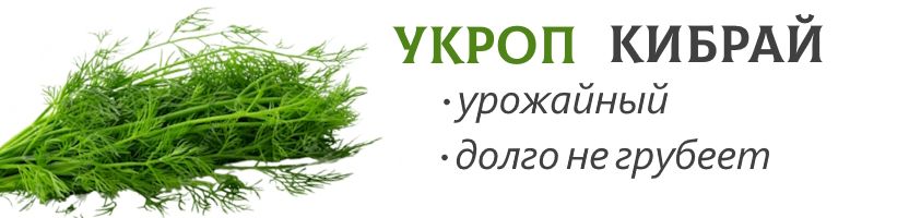 Лучшее ТРИО - семена без рядов. Укроп КИБРАЙ - лучший выбор на зелень