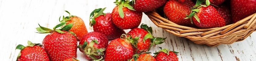 125 сортов клубники, земляники и земклуники в P9. Предзаказ на весну 2026 г.