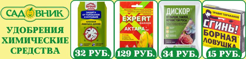 САДовник. Хиты: Борная ловушка Сгинь, Ловушка-домик клеевая Argus, Актара 2 г.