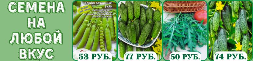 Семена на любой вкус! Без рядов! Хит: Горох БУЯН, Огурец ДИМКА, Огурец ТОЛЯН.