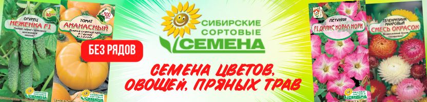 Сибирские сортовые семена! Без рядов! Томат Андреевский Сюрприз за 37руб!