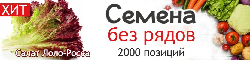 Семена. Микс брендов – выбор более 2000 позиций. Без рядов.