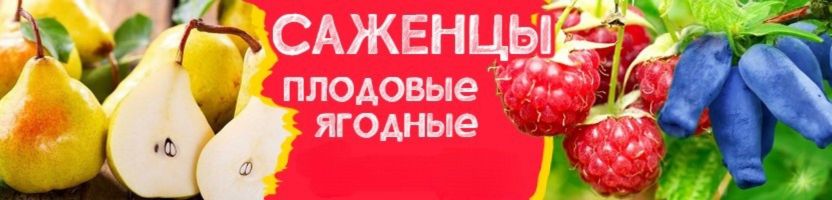 Плодовый сад. Ягодные и плодовые культуры. Предзаказ на весну 2026 г.