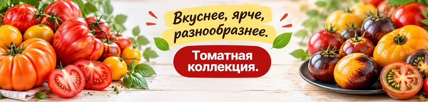 Томатная коллекция. Целая палитра вкусов и форм! Новинки 2026. Предзаказ декабрь .