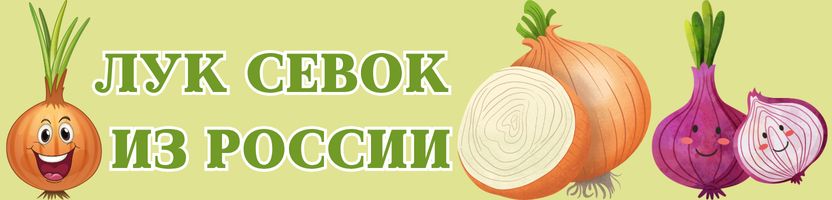 Лук севок озимый. В наличии! Можно сразу оплачивать!