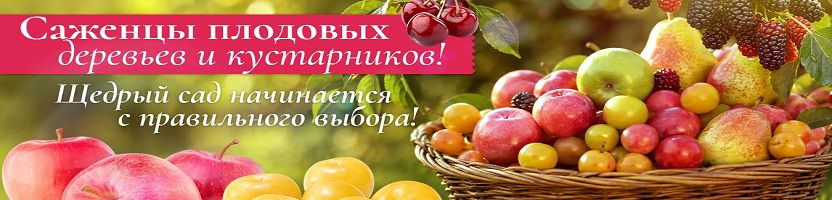 Плодово - ягодные культуры. Сбор только 1 выкуп до 31.07! Предзаказ на весну 2027 г.