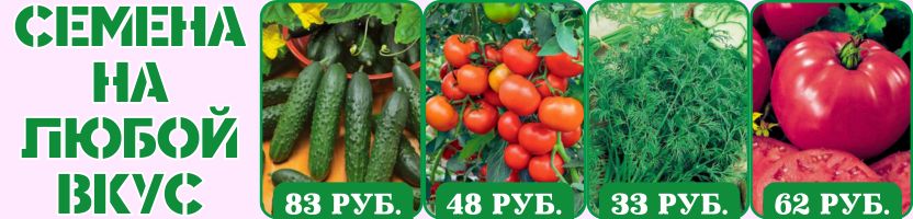 Семена на любой вкус! Без рядов! Хиты: Томат СУПЕРСЛАДКОЕ ЧУДО, Томат БЕЗРАССАДНЫЙ.