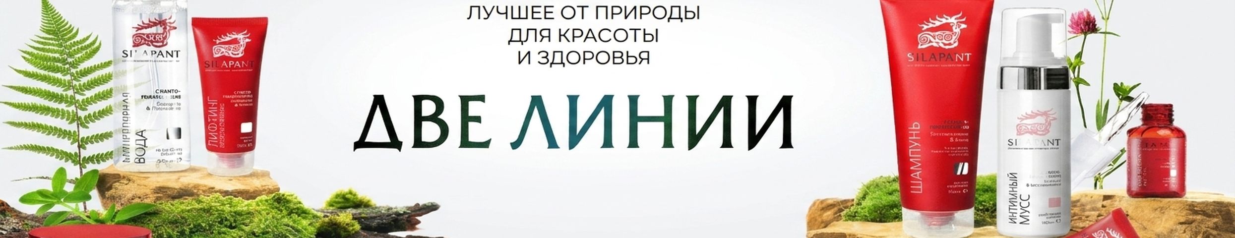 Две линии