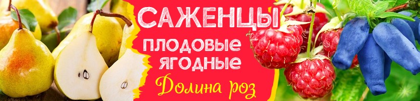 Долина роз. Плодовые саженцы. Хит: Ежевика Блэк Джем за 660 р. Предзаказ на осень 2025 г.