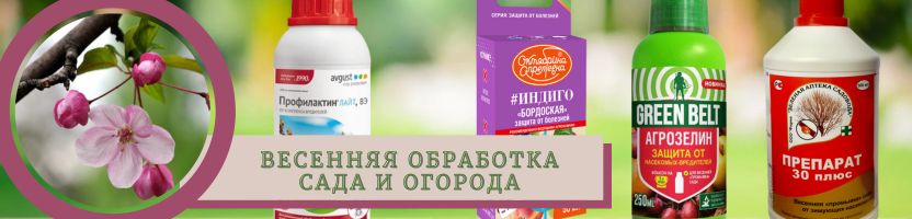 Центр удобрений Леда. Средства для весенней обработки сада - скидка 10%