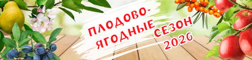 Сад мечты! Плодово-ягодные культуры! Предзаказ Весна 2026г. Яблоня Карнавал 560р! Сад мечты! Плодово-ягодные культуры! Предзаказ Весна 2026г. Яблоня Карнавал 560р!