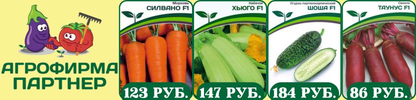 Семена Партнер. Без рядов! Хит: Огурец ШОША, Огурец ПЛАТОША, Кабачок ХЬЮГО, Кориандр САНТО