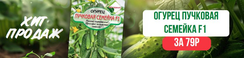 Сибирские сортовые семена! Хит - Огурец Пучковая семейка F1 за 79 рублей! Предзаказ
