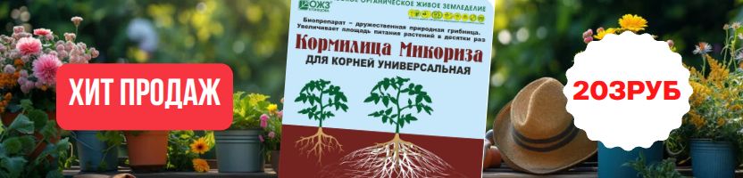 Сибирские сортовые семена!  Хит: Микориза Кормилица 1л для корней унив за 203р! Предзаказ