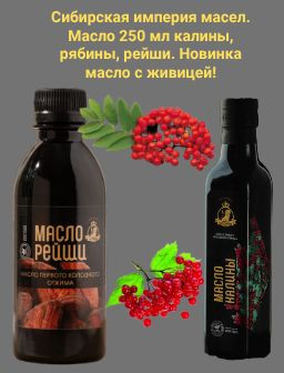 Рекомендуем