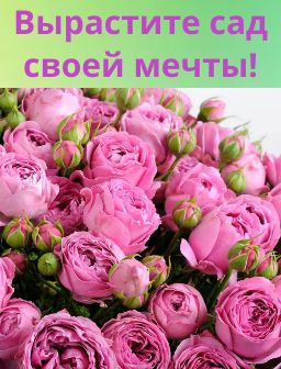 Рекомендуем