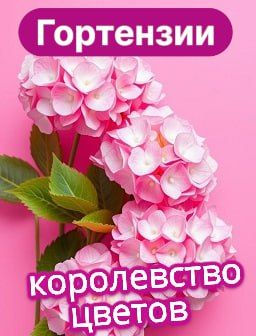 Рекомендуем