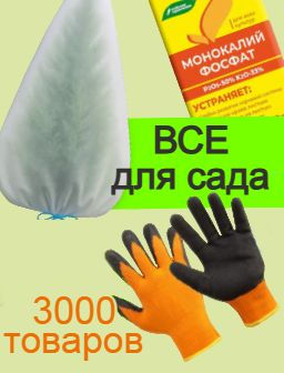 Рекомендуем